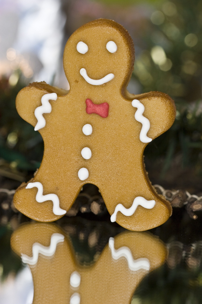 baked goods, baked, diversity, 2K, gingerbread man, male likeness, celebration, christmas, sweet food, sweet, art and craft, cookies, creativity, food