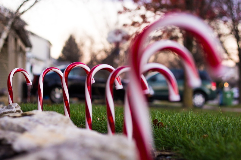 traditional, christmas, fun, celebration, plant, garden, architecture, daylight, candy cane, street, decoration, landscape, blur, motion, selective focus