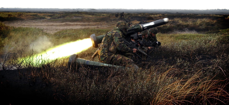 Royal Marines, conflict, security, plant, soldier, grass, cannon, rifle, weapon, special forces, nature, field, 2K, aiming, war, fighting, outdoors, gun