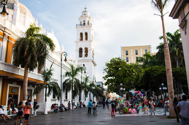 men, building, city, religion, veracruz, tree, large group of people, daytime, 5K, nature, people, plant, spirituality, dome, walking, real people, place of worship
