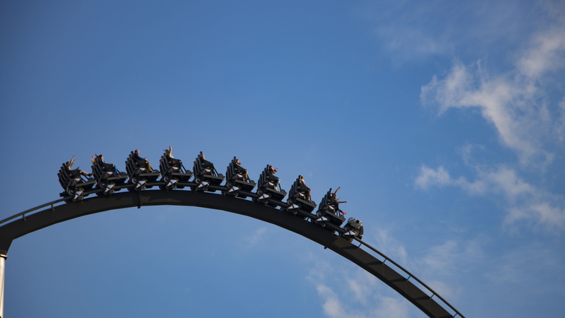 animal wildlife, outdoors, 5K, nature, day, animal themes, blue, sky, europapark, animal, vertebrate, no people, coaster, perching, large group of animals