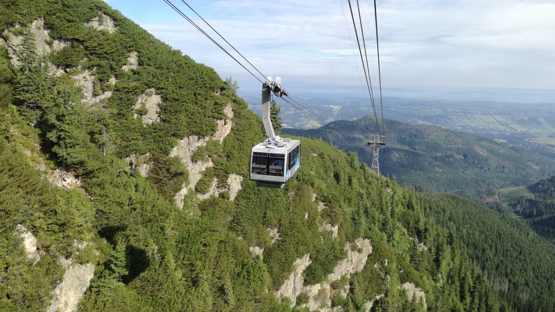 nature, scenics - nature, green color, cable, environment, outdoors, transportation, cable car, tree, non-urban scene, plant, growth, electricity, kasprowy wierch