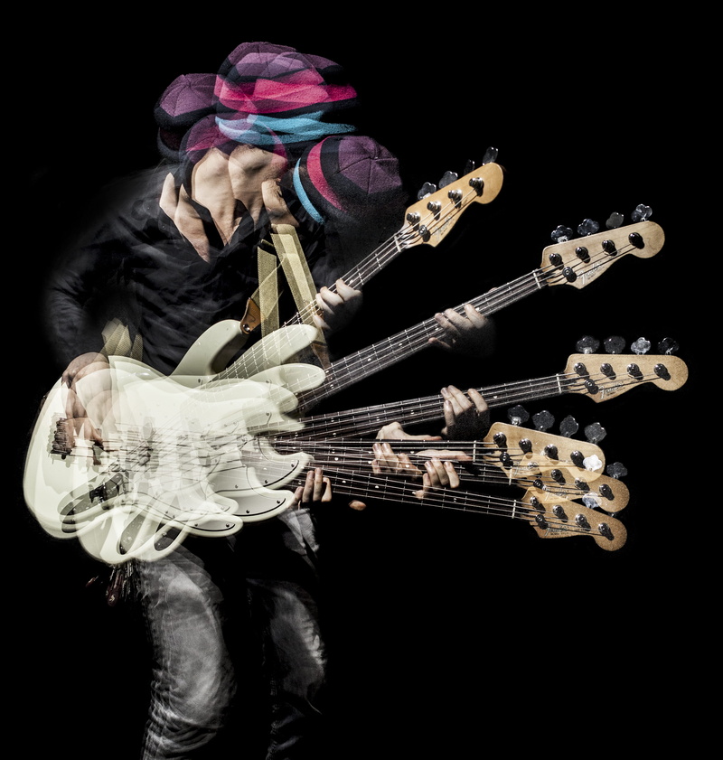 holding, band, musical instrument, string instrument, pop, musician, 4K, performance, jouth, one person, playing, men, musical equipment, strobe, music