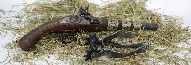 hay, ride, wild west, boomstick, sign, spur, shoot, header, plant, no people, rifle, head image, military, 5K, spores, danger, gasoline, metal, close-up