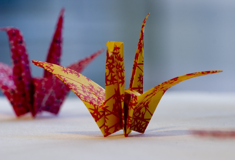 Japan, tsunami, two, bird, Brighton  University, England, 2011  Tōhoku  earthquake, origamis, Peace, origami, paper  folding, Cranes, yellow, Brighton University