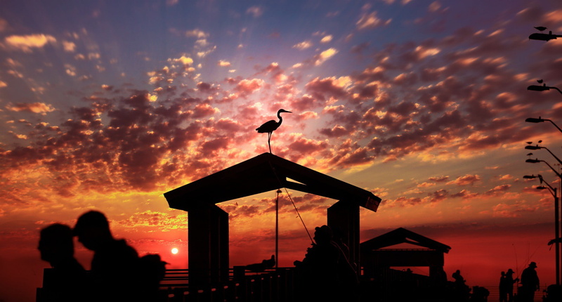 s, crane, fishing, clouds, the pier, Sunset, Florida, bird, silhouette, 1080P, photograph, building, beautiful clouds
