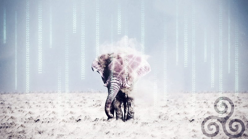 triskel, The Matrix, technology, nature, front view, copy space, one person, elephant, desert, digital composite, 1080P, hair, adult, clothing, outdoors
