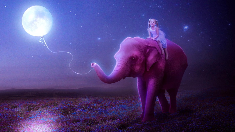 illustration, girl, gray, pink, elephant, 1080P, moon, fantasy, 1920x1080, little