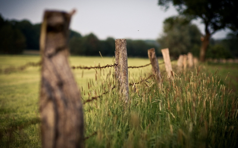 barbed wire, green Color, pasture, outdoors, field, barrier, tranquil Scene, grass, border, fence, plant, scenics, degradation, sky, non-Urban Scene, wire