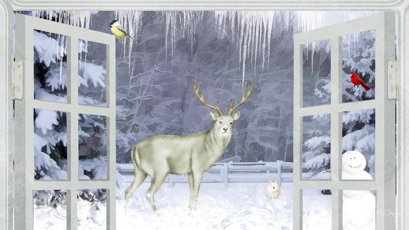firefox persona, 3d and a, looking, deer, trees, fence, birds, window, 1080P, cold, icicles, snowman, winter, stag