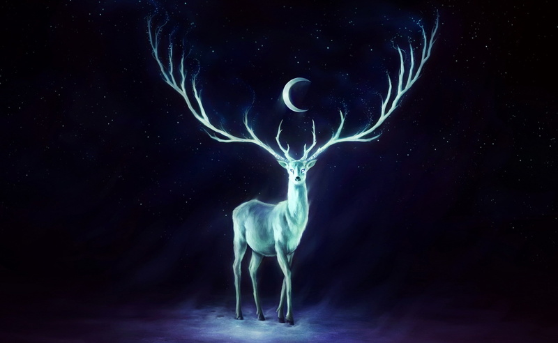 black background, Beautiful, animal themes, Deer, Fantasy, dark, 2K, marine, studio shot, Painting, animal, animal wildlife, no people, motion, science
