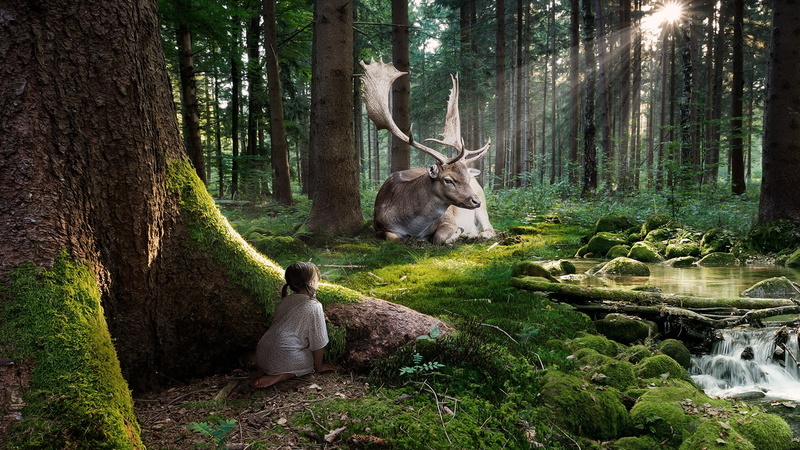 trees, 1080P, child, hd, elk, nature, forest, sunlight, stream, moss