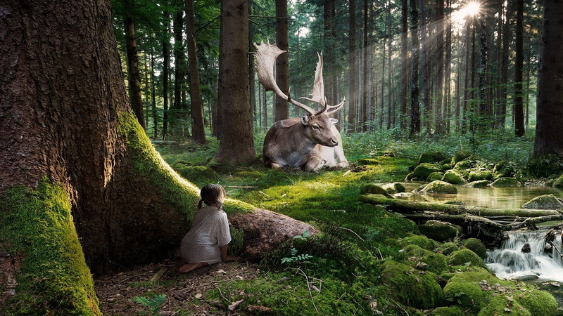 Cute, Child, Girl, Animal, Manipulation, Elk, Forest, 1080P, CGI, Photography, Digital Art