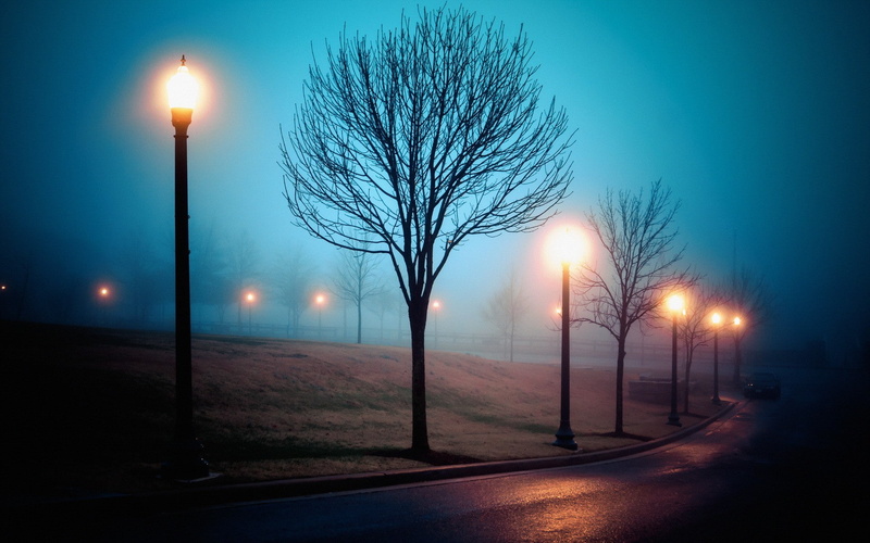 Atmosphere, fog, park, sleep, Sleep Walking, walking, street, 1080P, city, Richmond