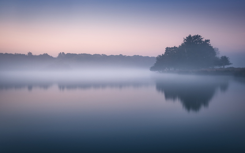 5K, Mist, non-urban scene, sun, Richmond Park, landscape, London, tranquil scene, lake, idyllic, 5K, tree, Cold, Reflections, nature, outdoors, tranquility