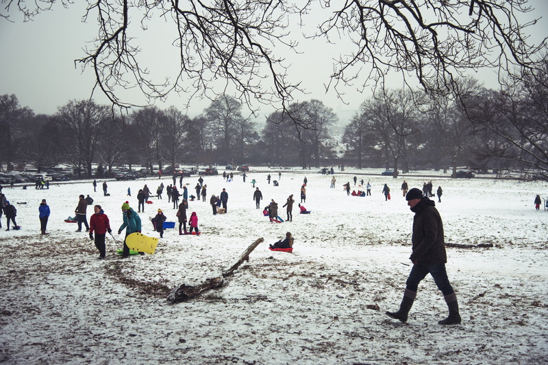 group of people, nature, children, cold temperature, beauty in nature, snowy, day, plant, large group of people, richmond park, fun, winter, crowd, men