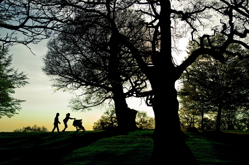 two people, leisure activity, adult, branch, london, garden, 4K, standing, beauty in nature, tree, plant, silhouette, men, nature, positive emotion, people