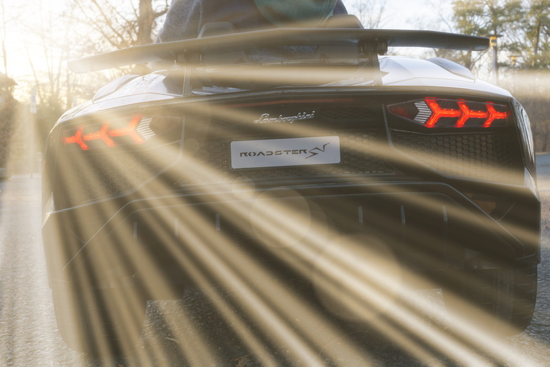 tree, western script, motor vehicle, transportation, land vehicle, communication, sunlight, no people, maymont park, va, 5K, virginia, number, lamborghini