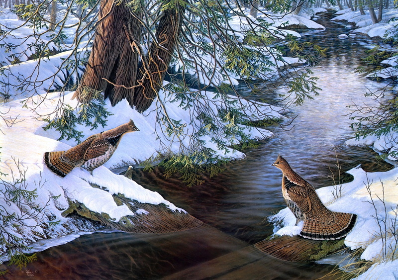 birds, broken bridge, painting, 2K, bird, creek, encounter, forest, river, two, partridge, Chance Encounter, Sam Timm, snow, stream, A chance meeting