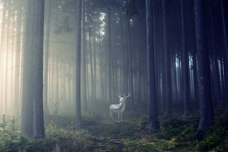 hd, artwork, deer, behance, 4K, 4k, artist, digital art