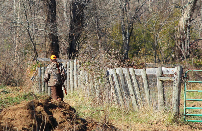 firearm, bullet, shot, land, outdoors, sport, wild, real people, forest, men, loaded, barrel, 2K, hunt, sight, Deer Hunting, leisure activity, Hunting
