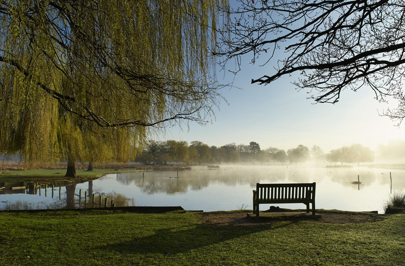 bench, nature, grass, parks, bushy, park, 2K, scenery, pond