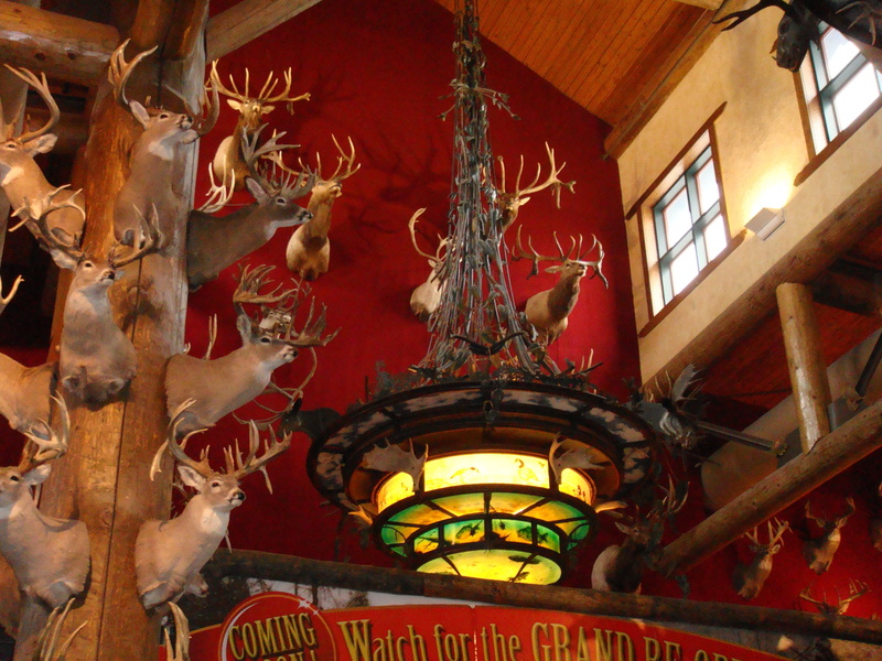 creativity, rack, decoration, buck, travel destinations, Deer, stuffed, Taxidermy, art and craft, killed, Head, belief, craft, brown, deer, Hunting, building
