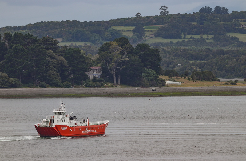 5K, nature, barge, sail, puerto, sur, architecture, mountain, non-urban scene, plant, island, tree, outdoors, port, boat, move, ferry, llacolen, chile