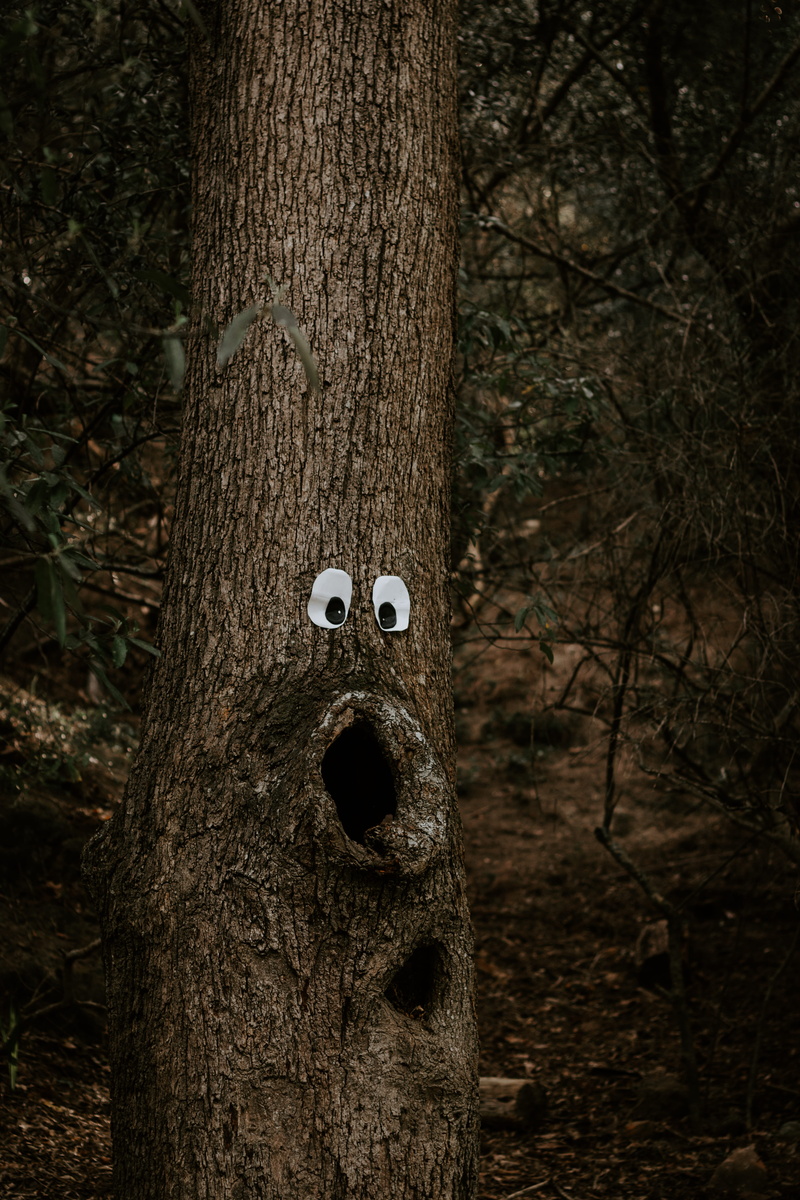 vertical, naturaleza, rough, nature, smartphone, body part, 5K, tree, captionthi, outdoors, face, outside, emotion, close-up, trunk