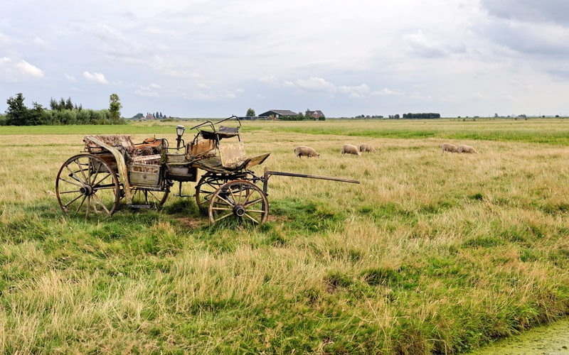 land, day, cloud - sky, wheel, 2K, machinery, outdoors, field, beauty in nature, sheep, grass, plant, brown, growth, carriage, agriculture, scenics - nature