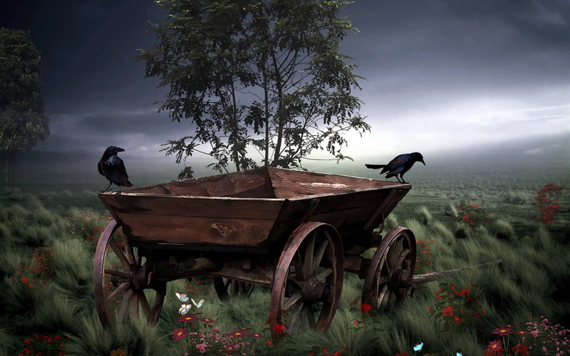 carriage, growth, sky, outdoors, transportation, landscape, plant, cloud - sky, tree, vehicle, tranquility, day, vintage, grass, flowering plant, beauty in nature