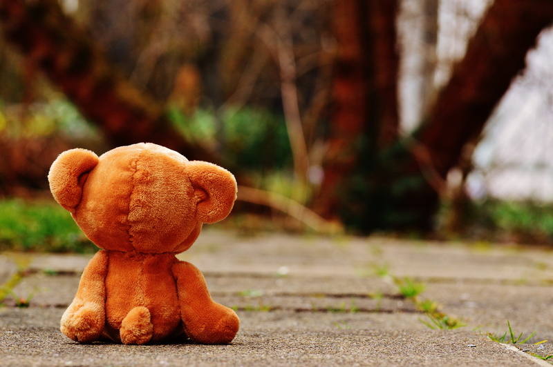 sweet, social issues, day, nature, grey, brown bear, soft toy, plush, toy, lonely, road, floor, stuffed toy, backwards, art and craft, tree, food, sitting