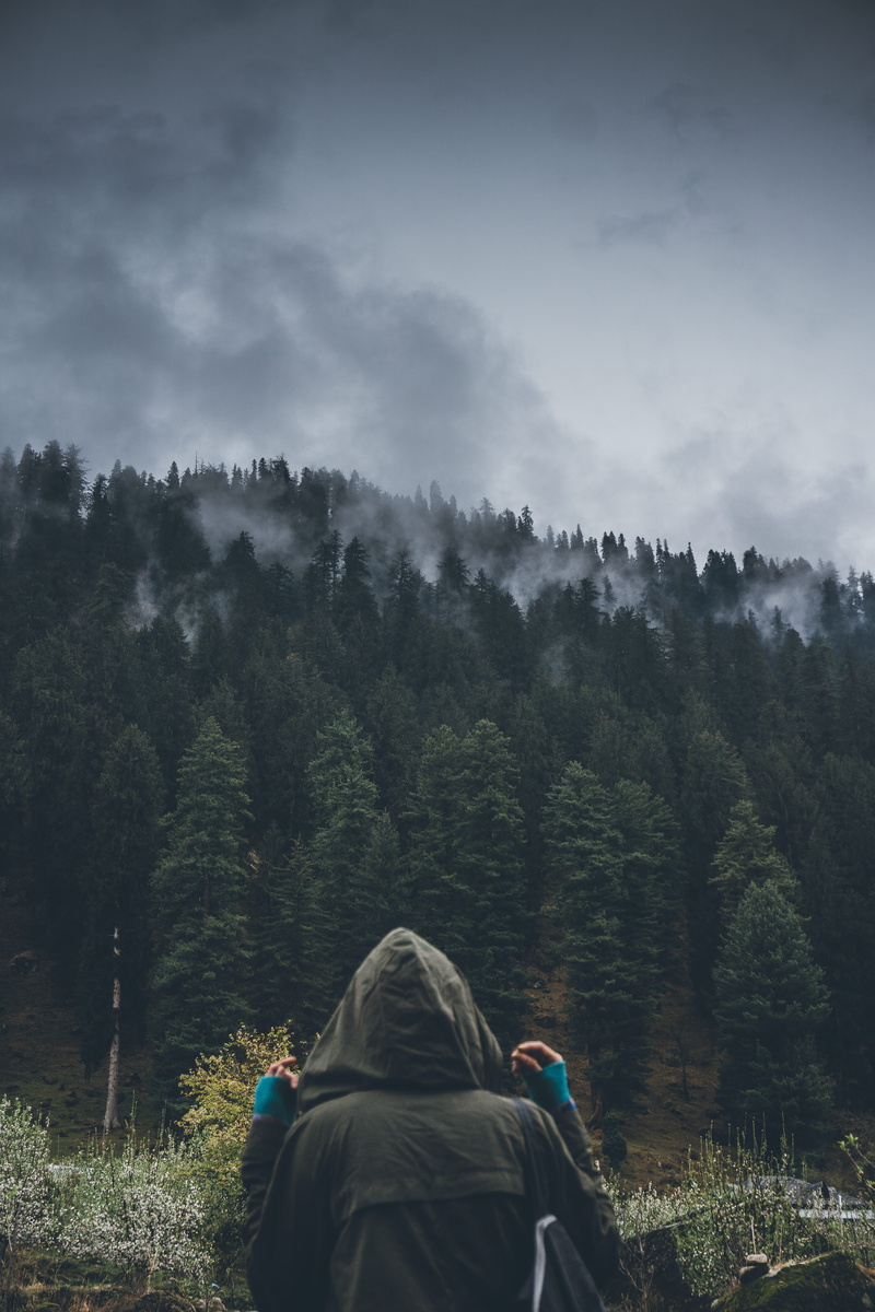 land, sky, plant, scenics - nature, grey, fog, mountain, tree, backwards, outdoors, warm clothing, 5K, hood, jacket, cloud, person, cloud - sky, beauty in nature