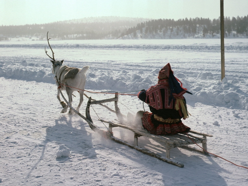 sport, rural Scene, mammal, cold - Temperature, cold temperature, clothing, animal themes, domestic animals, herbivorous, eskimo, outdoors, pets, sled