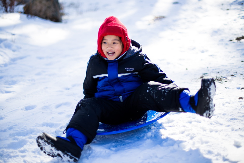 sledge, lifestyles, clothing, looking at camera, sledding, leisure activity, real people, child, girls, childhood, girl, warm clothing, boy, full length