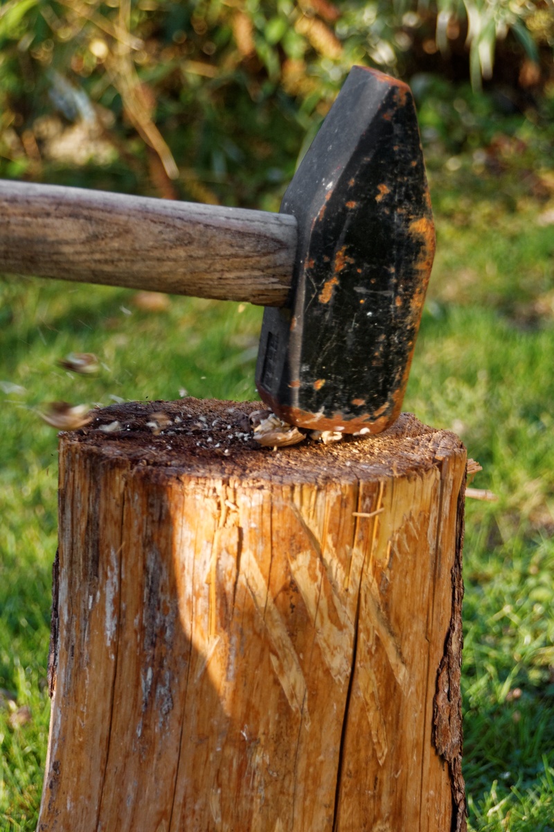 axe, bark, open, nut, forest, outdoors, fruit bowl, christmas, christmas time, work tool, land, focus on foreground, crack, plant, no people, hammer, log