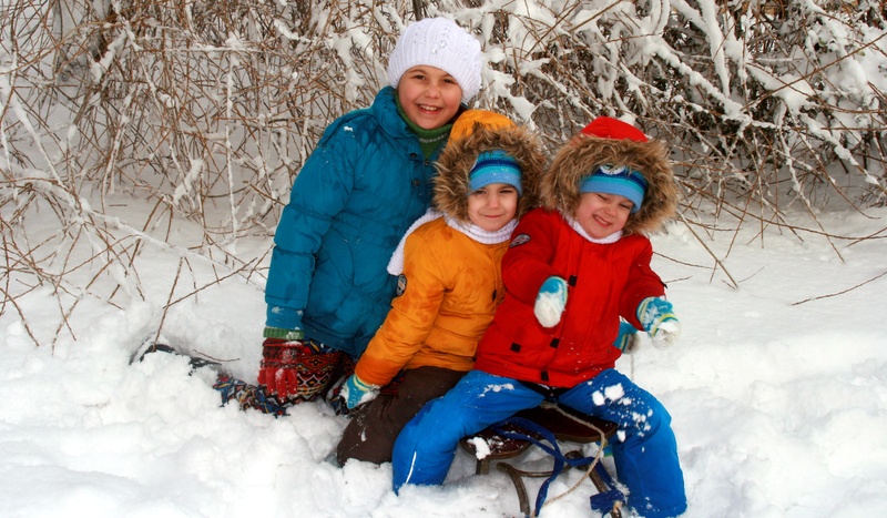 warm clothing, sister, brothers, play, women, sledge, snow, family, positive emotion, looking at camera, boys, cold temperature, clothing, child, happiness