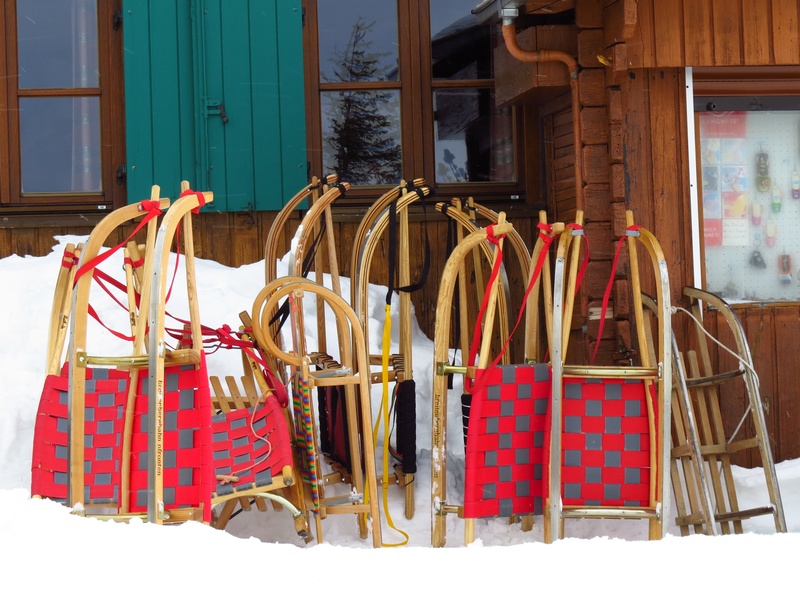 horn sledge, winter, choice, toboggan, 4K, snow, brown, multi colored, tobogganing, lot, sleigh ride, built structure, chair, outdoors, wall, fun, hut