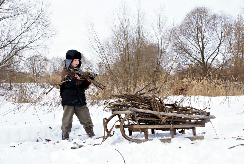 cold, boy, snowy, frozen, full length, real people, brown, snow, woods, tree, clothing, nature, sledge, weather, ice, frost, icy, land, wooden, day, sticks