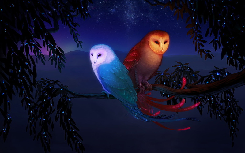plant, animal, fire, branch, birds, stars, animal wildlife, orange color, perch, wildlife, owls, brown, mountains, animal themes, illustration, fantasy