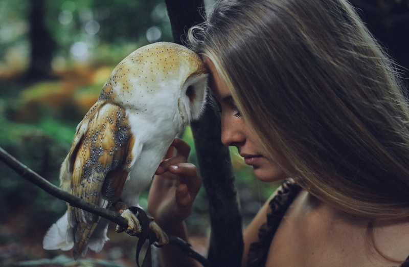 Models, Woman, Blonde, Owl, Barn Owl, Model, Mood, 1080P