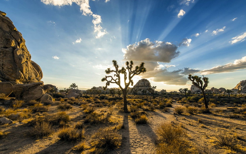environment, scenics - nature, land, valley, leafed, rock formation, travel, hill, uSA, arid climate, rock - Object, scenics, non-Urban Scene, day, sun