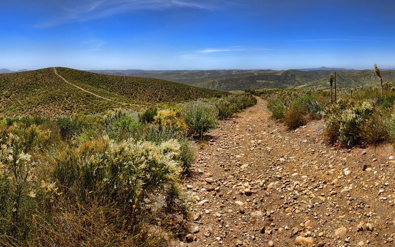2K, dirt road, national park, desert, shrubs, landscape, California, nature