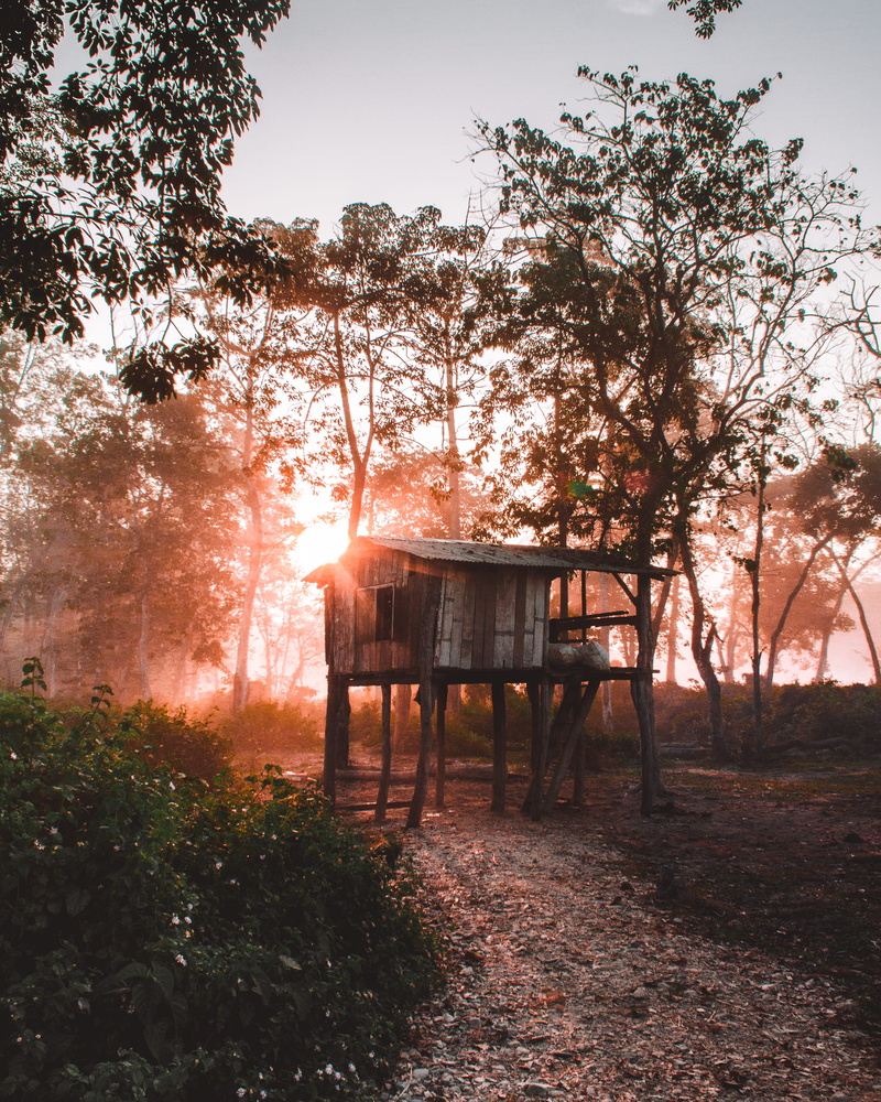 wodd, table, visual, framing, day, sky, nature, chitwan, art, field, house, tranquil scene, beauty, gray, grass, growth, world, park, abandoned, tree, sunset