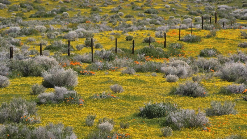 california, 1080P, landscapes, lancaster