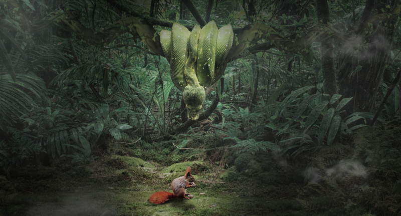monkey, animal, green color, rainforest, one animal, hunt, composing, curious, outdoors, lurking, photomontage, creature, risk, growth, animal wildlife