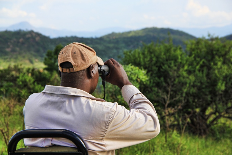 lifestyles, photographer, jeep, real people, using, leisure activity, adult, safari, plant, bush, trees, focus on foreground, camera - photographic equipment