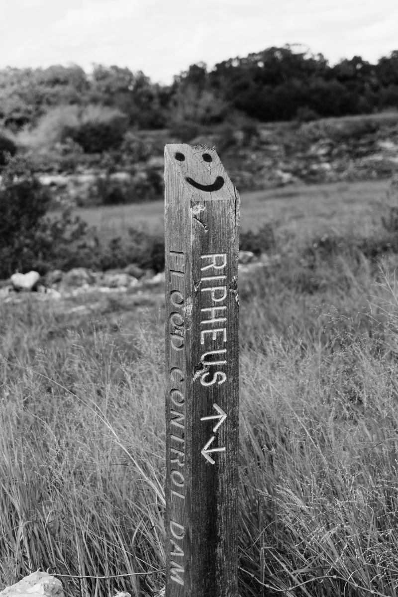 number, wooden post, post, landscape, no people, wood - material, metal, text, san marcos, purgatory creek natural area, day, plant, grass, environment