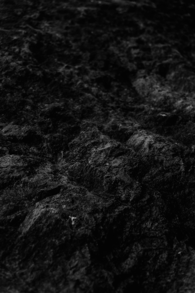 pattern, rough, tree, tarmac, backgrounds, brown, extreme close-up, ground, day, art and craft, plant, dark, land, forest, rainforest, jungle, conifer