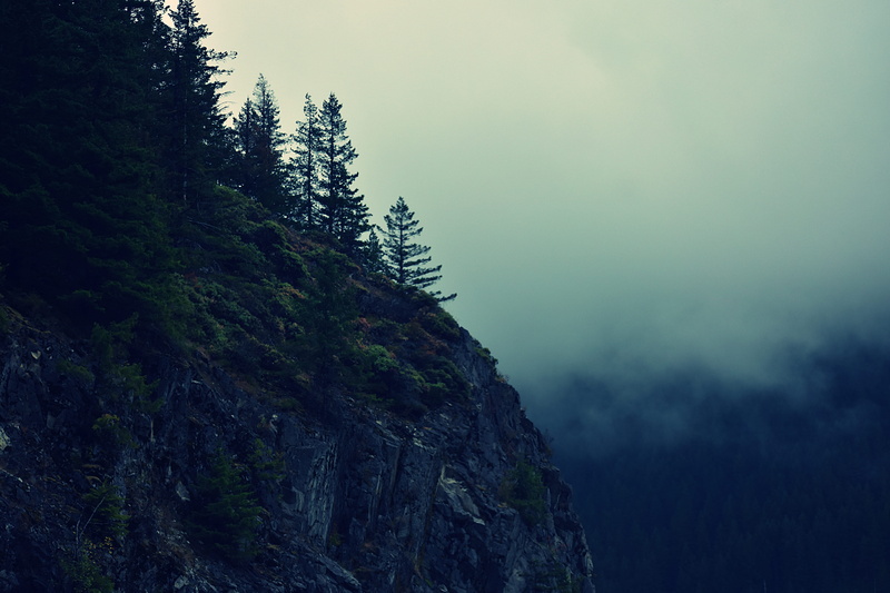 edge, cloud, green, mountain, landscape, fog, land, moody, scenics - nature, trees, foggy, rock, low angle view, united states, nature, cliff, outdoors